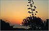 Stavromenos (Rethymnon): Sonnenuntergang an der Stra�e nach Perama