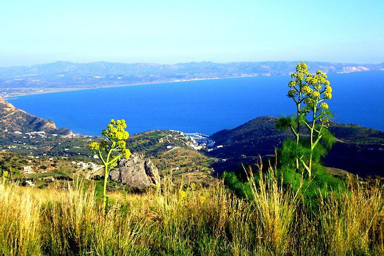 Agia Galini: Blick von oberhalb Harakas auf das Dorf und die Messara-Bucht